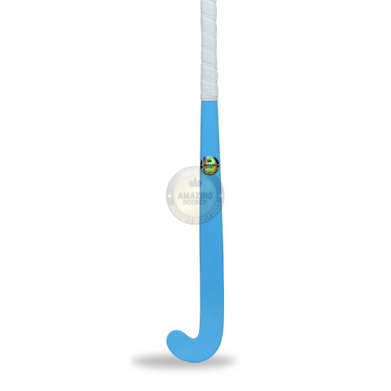 AMAZING INDOOR LOWBOW HOCKEY